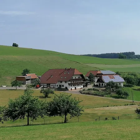 Stockerhof Daire Elzach