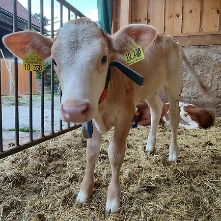 Appartement Stockerhof *