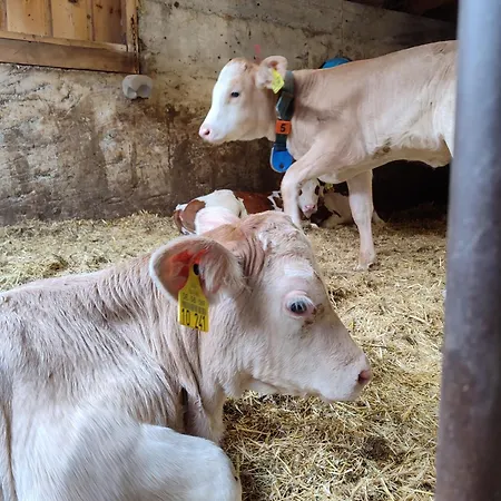 Appartement Stockerhof