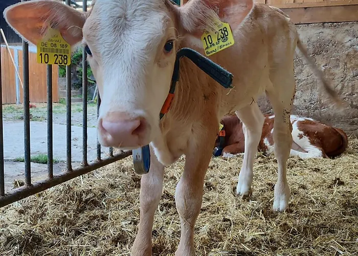 Lejlighed Stockerhof *