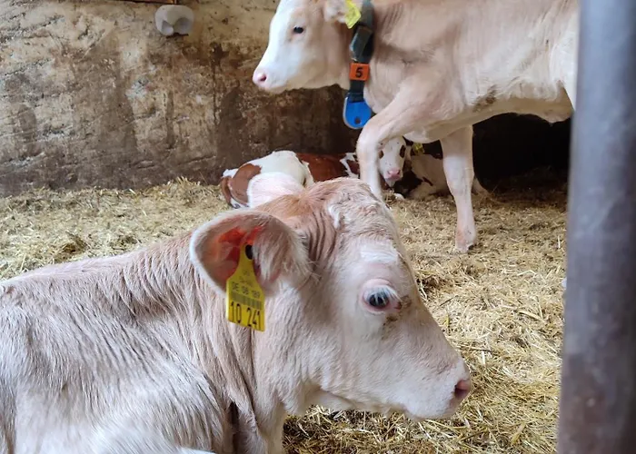 Lägenhet Stockerhof